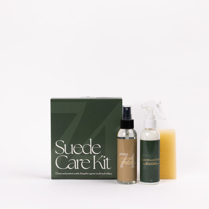 Suede Care Kit
